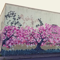 Cherry Blossom street art, Seattle 